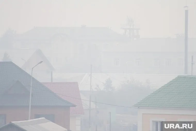 В ЯНАО ввели запрет на посещения лесов из-за угрозы лесных пожаров