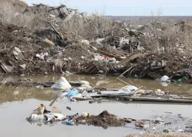 В Тюменской области по руслу реки Ишим несет мусор и останки животных