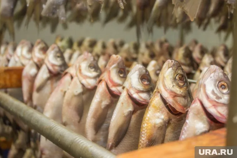 Рыбозавод «Алаид» на Парамушире сильно пострадал от цунами на Курилах