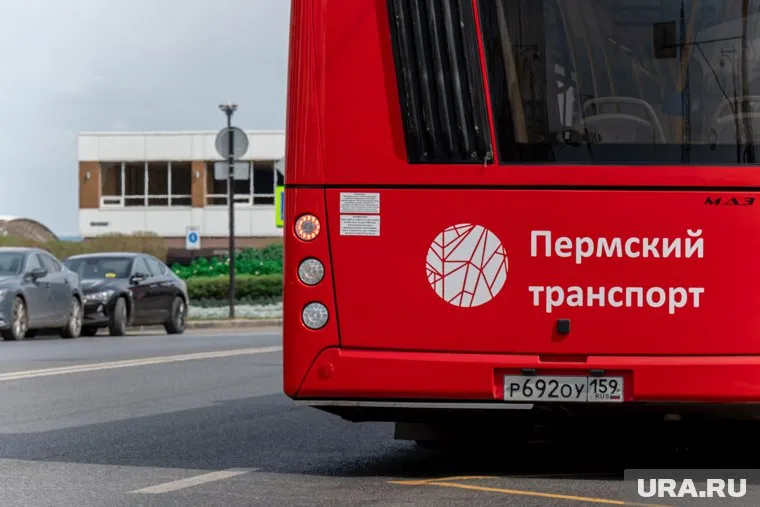 Новый маршрут запустят с 15 сентября 2025 года