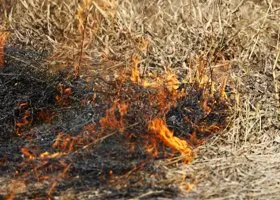 В Курганской области оштрафовали нарушителей, жгущих костры вопреки запрету