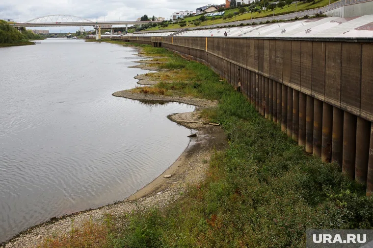 Ежегодно из-за обмеления на Туре появляются зеленые острова