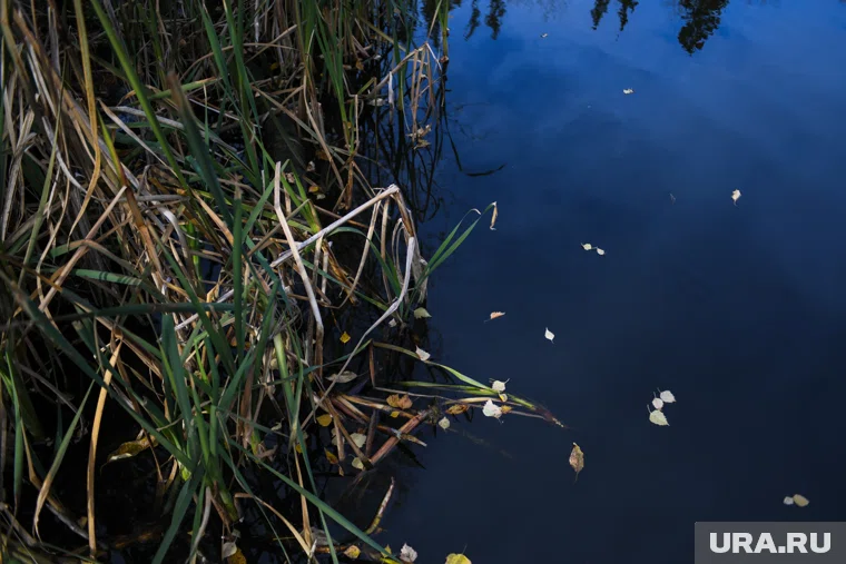 Рыбак заметил труп в воде