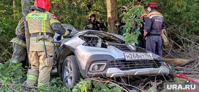 Екатеринбуржец за рулем иномарки вылетел в кювет и врезался в дерево
