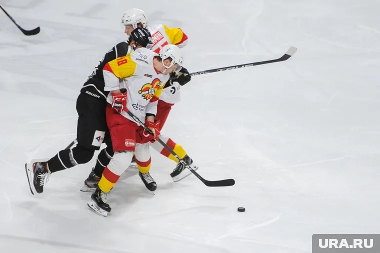 Власти анонсировали строительство новой ледовой арены в 2021 году