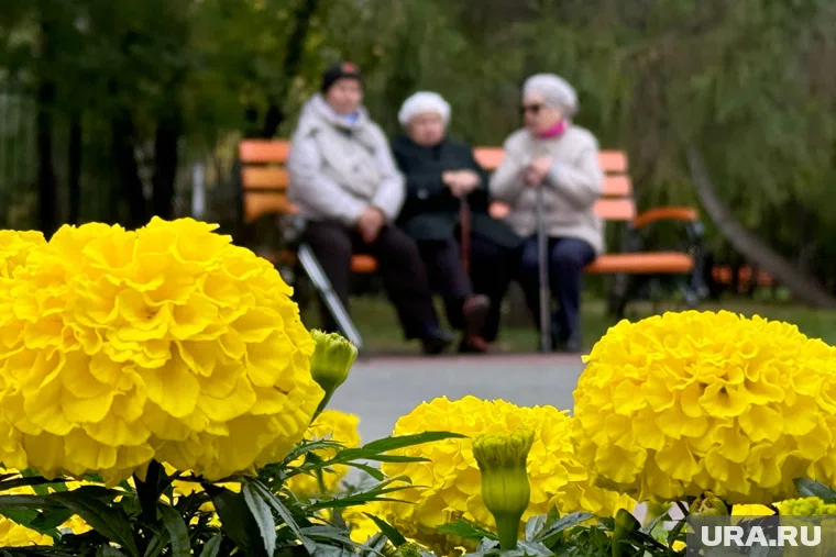 В следующем году страховую пенсию проиндексируют в феврале и в апреле
