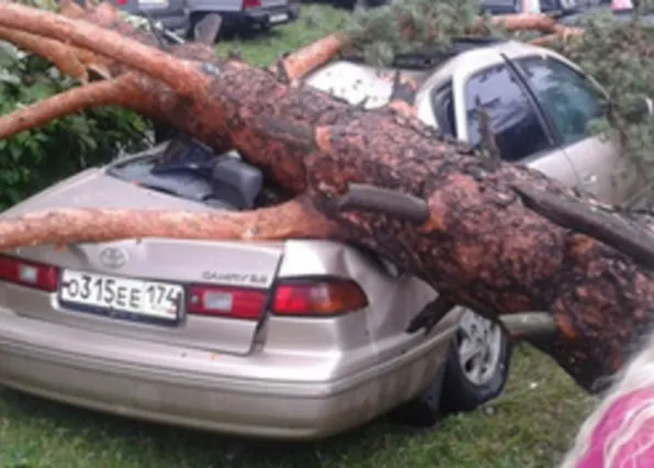 Фотография из галереи