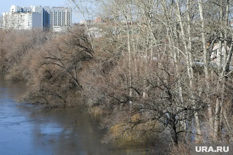 Уровень воды Тобола в Кургане остановил свой рост