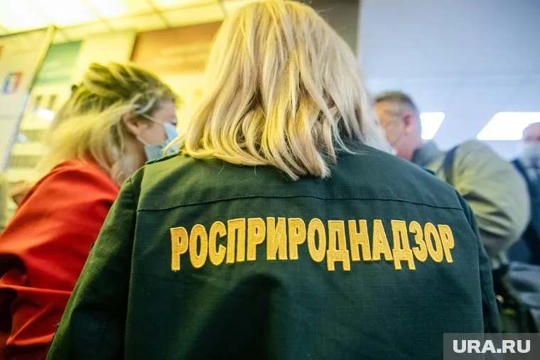 Росприроднадзор нашел состояние экологии в Тюменской области неудовлетворительным
