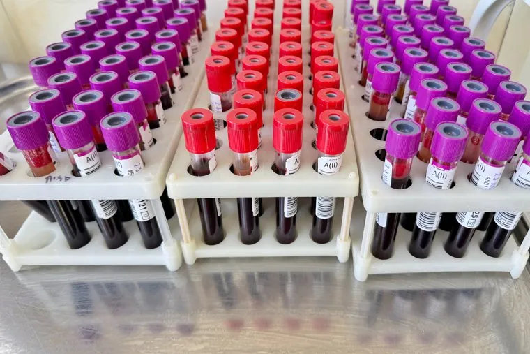 Центр переливания крови. Акция 