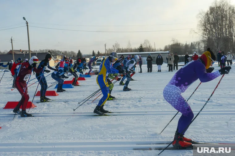 Курганцев приглашают проверить свои силы в спорте