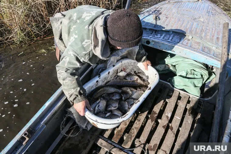 Курганцу придется выплатить ущерб после ловли карасей в озере