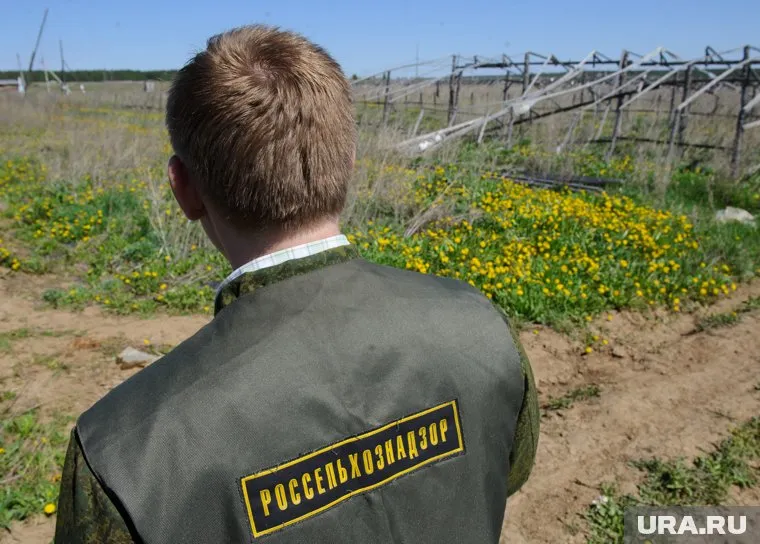 В федеральном ведомстве встали на сторону егеря из Челябинска