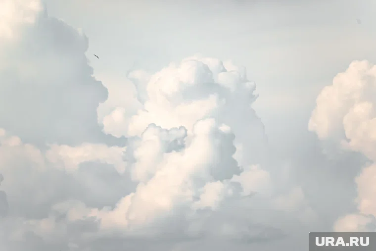 Оттенок призван стать символом спокойствия