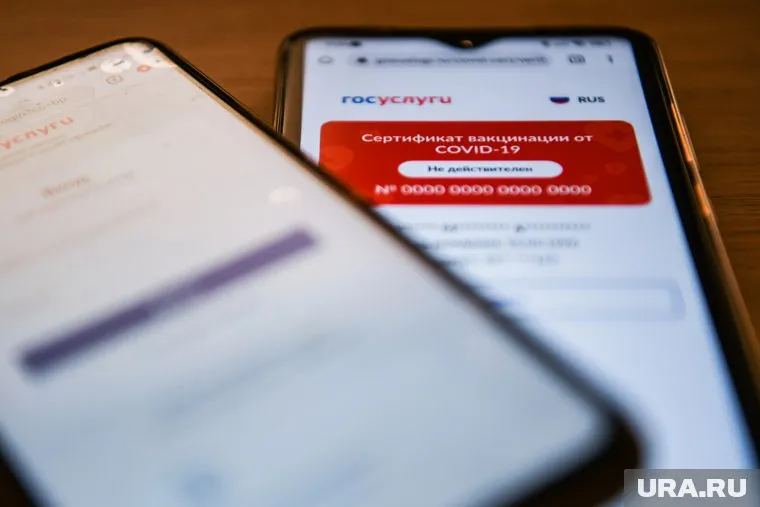 Не все пожилые россияне умеют пользоваться сайтом «Госуслуг»