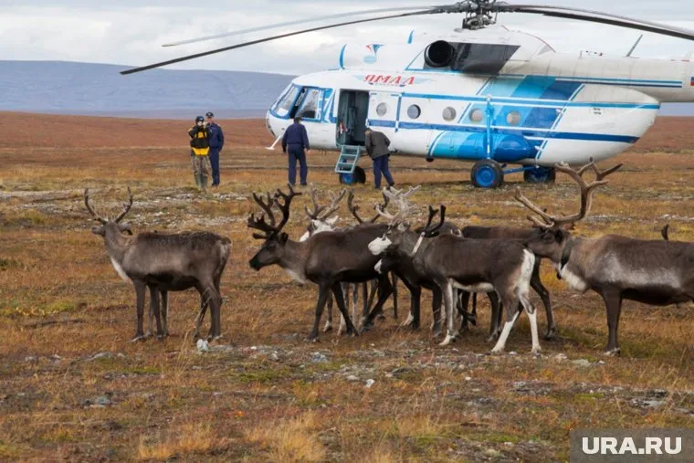 Труднодоступные и отдаленные территории ЯНАО готовы к досрочному голосованию
