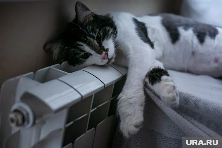 Отопление начнут включать 27 сентября