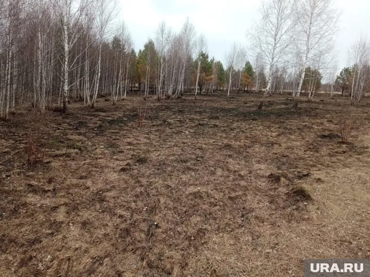 Огонь вспыхнул в непосредственной близости от жилых домов 