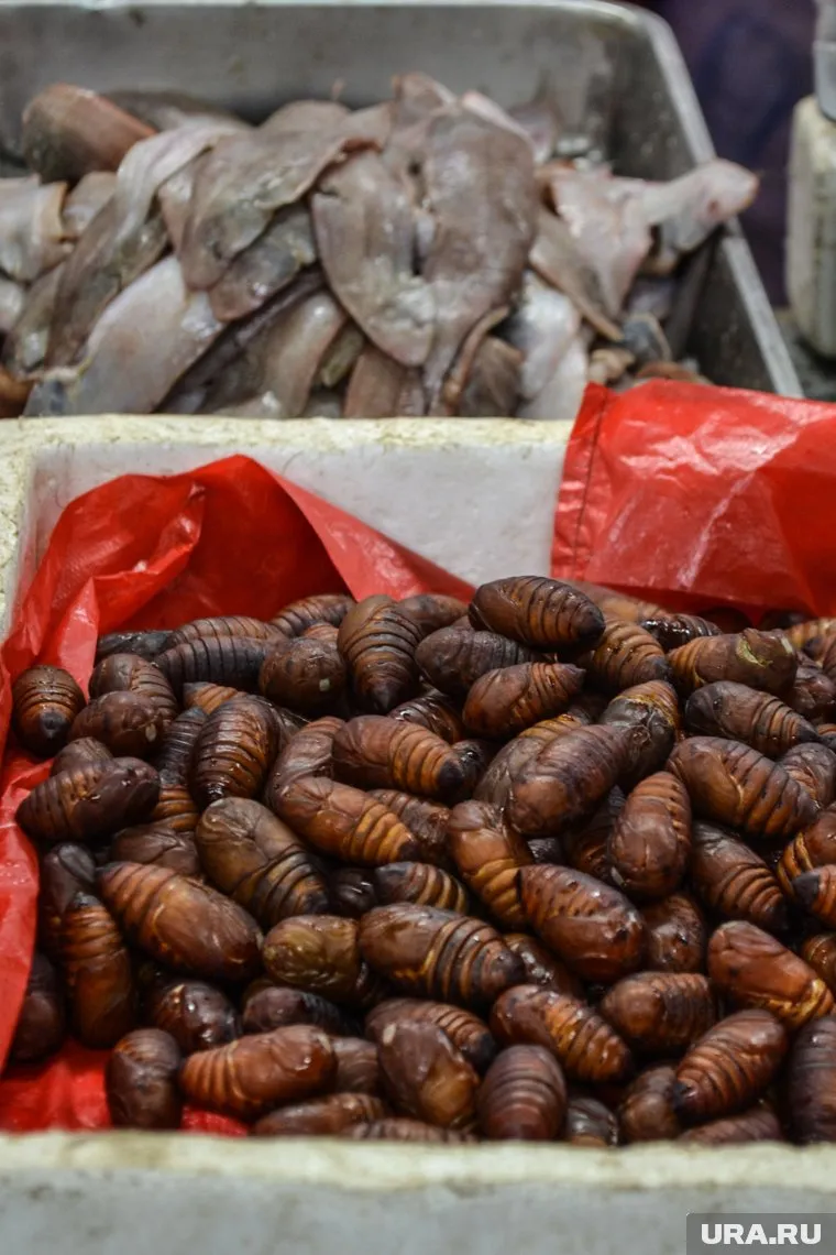 Ранее на нашествие личинок жаловались жители села Звериноголовского (архивное фото)