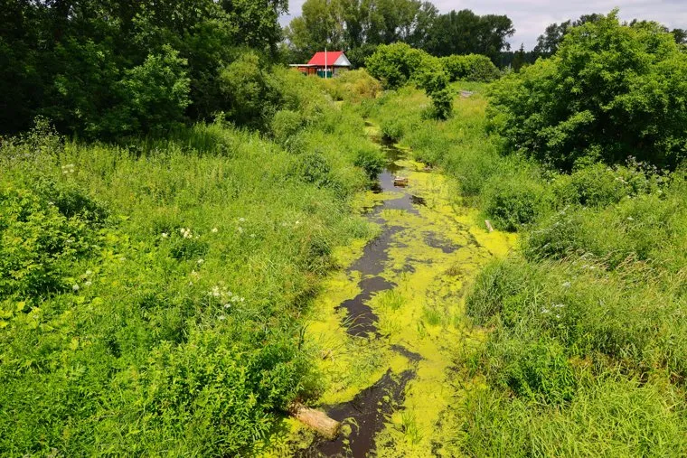 Чимеевский храм. Курган