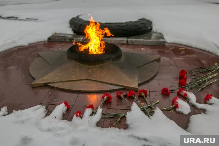 Мигранты потушили Вечный огонь в Ленобласти