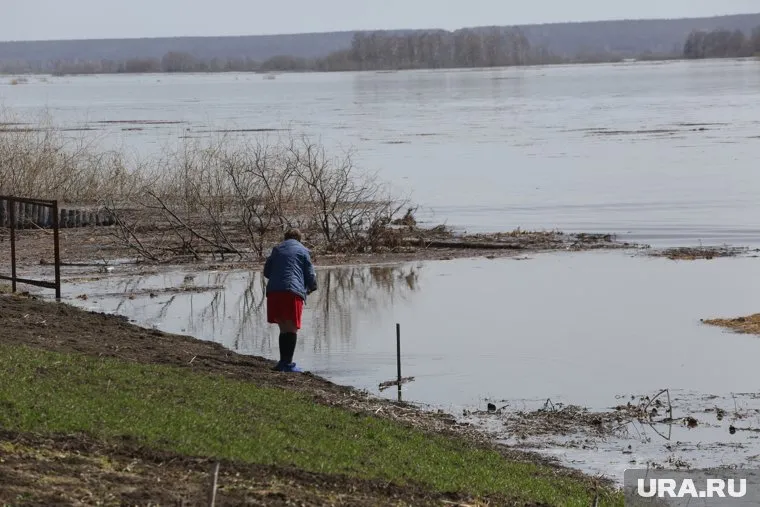 Уровень в реке Ишим возле тюменского села Викулово составляет 1005 см