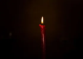 Фотография из галереи