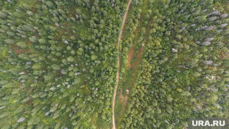 Во время похода в лес надо уважительно относиться к природе