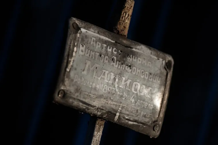alt-text