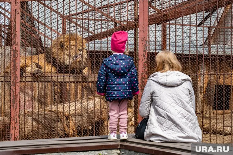 Ввод объекта будет в эксплуатацию состоится в ближайшее время