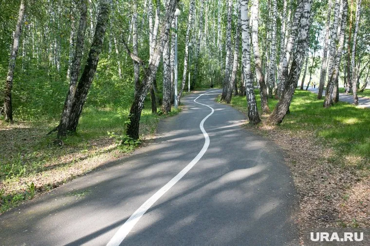 Тело девушки обнаружили в тюменском парке Гагарина