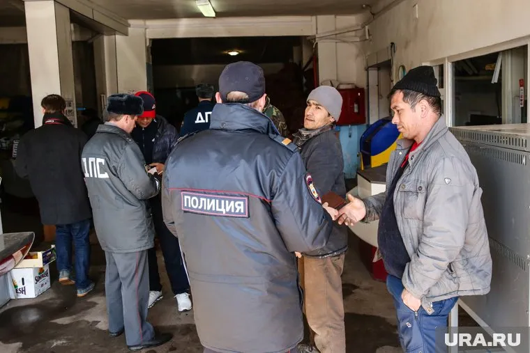 Депутат считает, что мигранты не знают правила