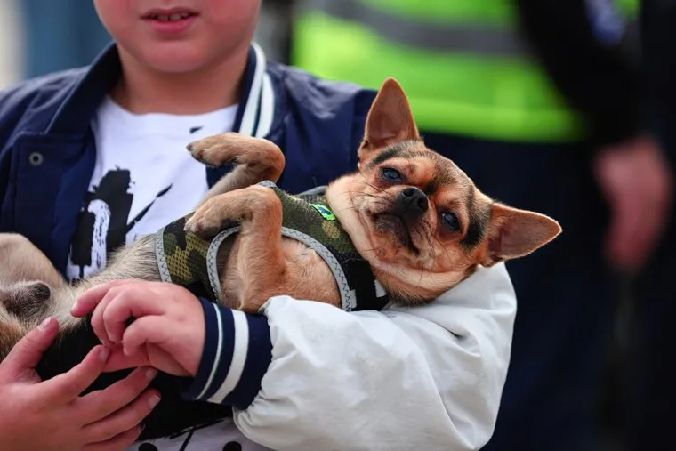 Официальное закрытие мотосезона. Екатеринбург