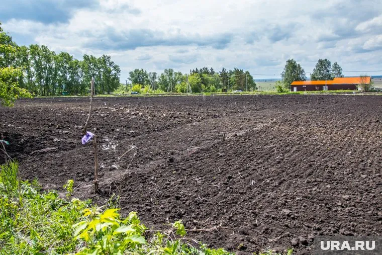 Продают четыре участка общей площадью 35 гектаров