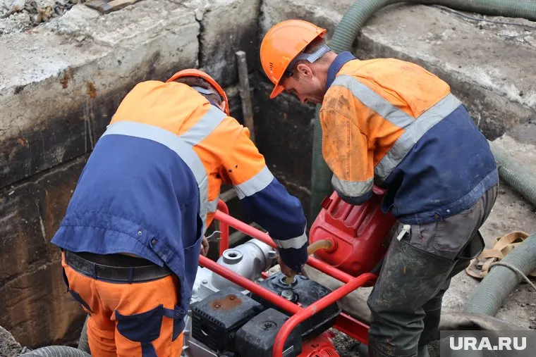 Трижды в неделю коммунальщики Кусы извлекают из канализации выброшенные грибы