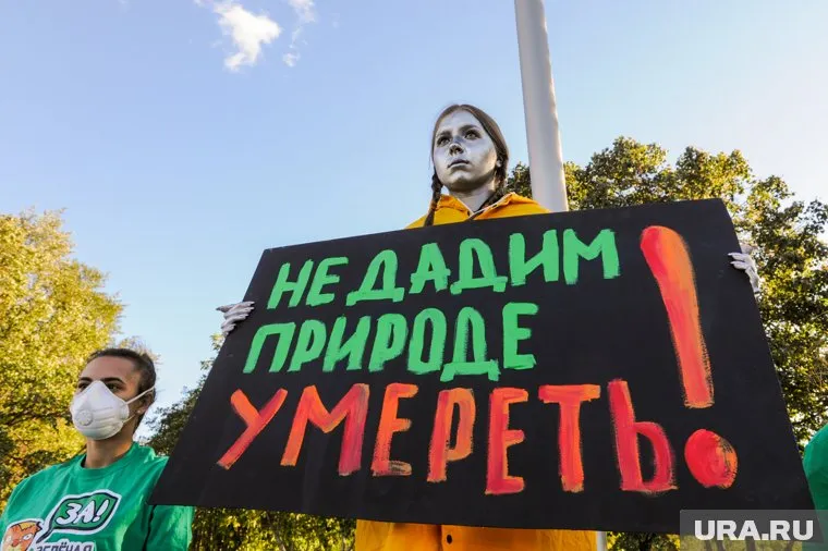 Символический «памятник» Грете Тунберг открыли челябинские экологические активисты