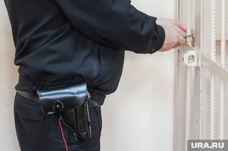 Решается вопрос о том, какую меру пресечения следует избрать для подозреваемой