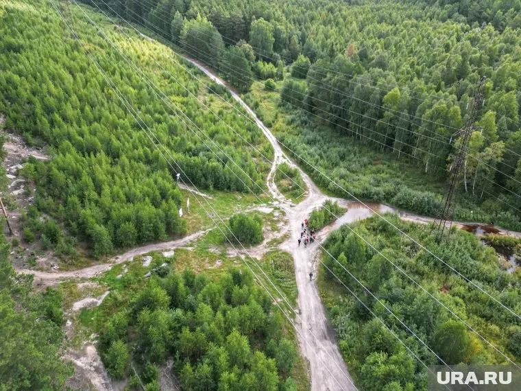 Спасатели ночью искали заблудившихся в лесу ямальцев