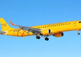 «Саратовские авиалинии» объявили об отмене всех рейсов