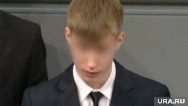 Журналистское расследование о «школьнике их бундестага» заинтересовало СК