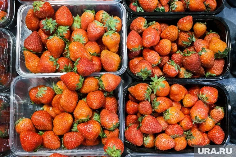 Совхоз «Пуровский» обеспечивает жителей Самбурга свежими продуктами