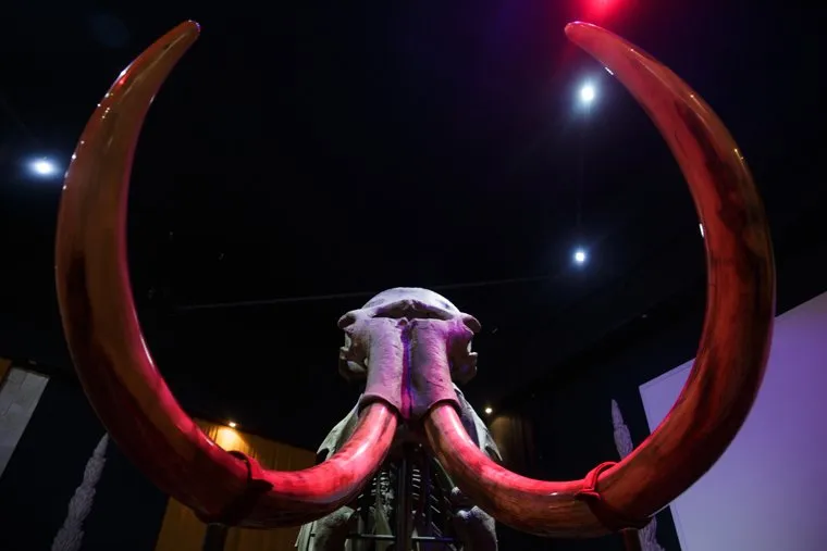 Бесплатный день в Музее пермских древностей. Пермь