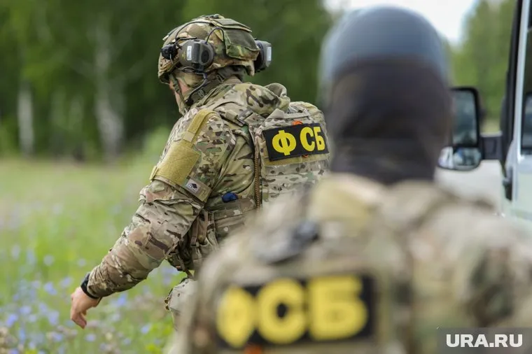 Сотрудники ФСБ задержали Дину Шведкину