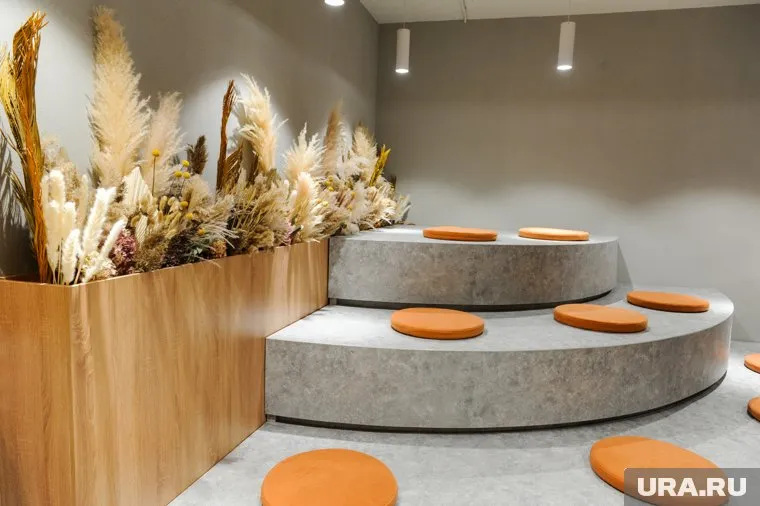 Коворкинговое агентство Наполеон. Челябинск