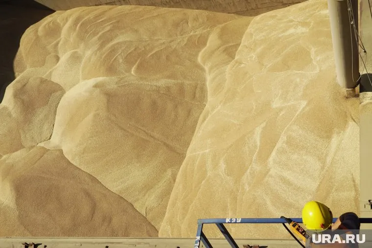 Суда с российской пшеницей прибудут в Африку в конце ноября или начале декабря, заявил Дмитрий Патрушев