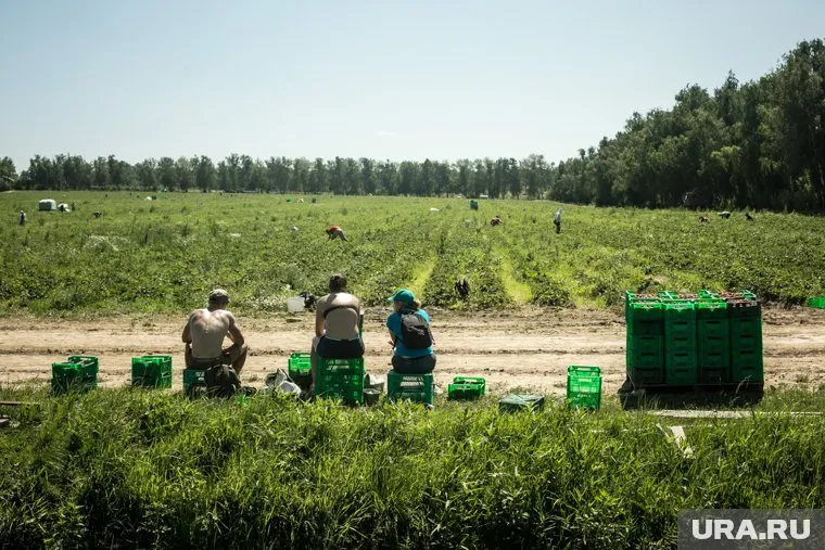 В Свердловскую область тепло пришло слишком рано, из-за этого может пострадать урожай