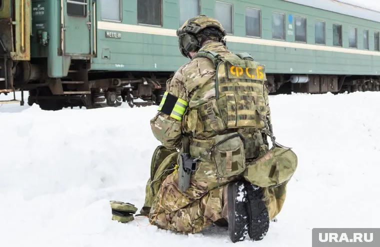 ФСБ поймала участников группы, вывозившей лес в Казахстан