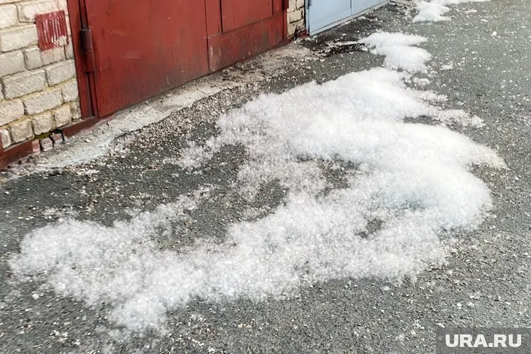 В Челябинске продолжается активная борьба против тополиного пуха