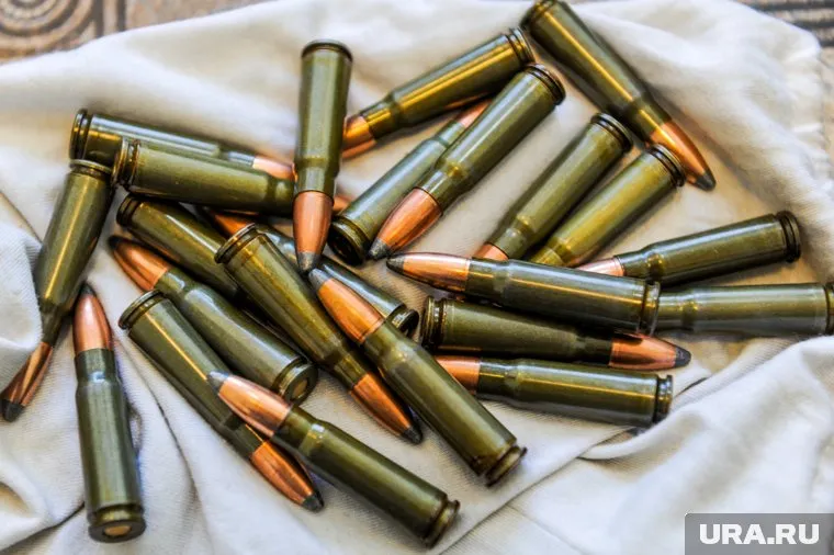 По коттеджу в Подмосковье разбросаны гранаты и патроны