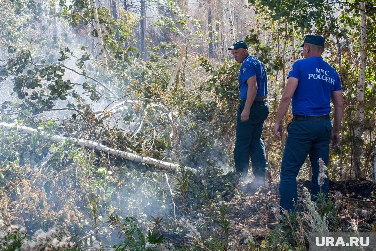 Решение о возбуждении дела по лесным пожарам принимает дознаватель МЧС, отметил Александр Бударагин